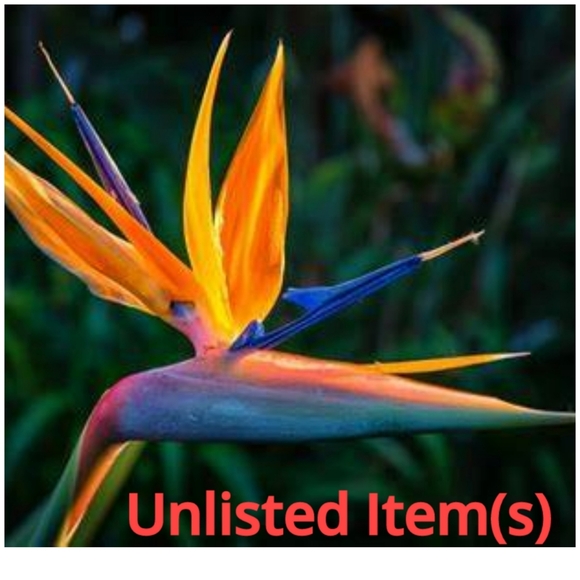 Like this listing to be notified of my upcoming Posh Shows! - Picture 2 of 8